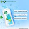 Dettol Mint Icy Cool Shower Gel 950g