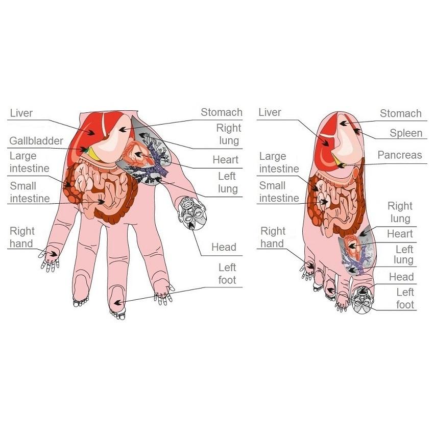 Акупунктурный массажер для рук, ног, тела