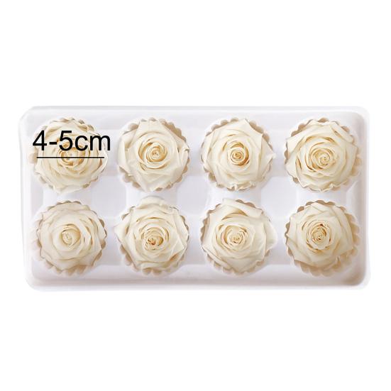 8Pcs/Set Preserved Rose Flower Fresh-keeping Birthday Valentines Xmas Gift Box