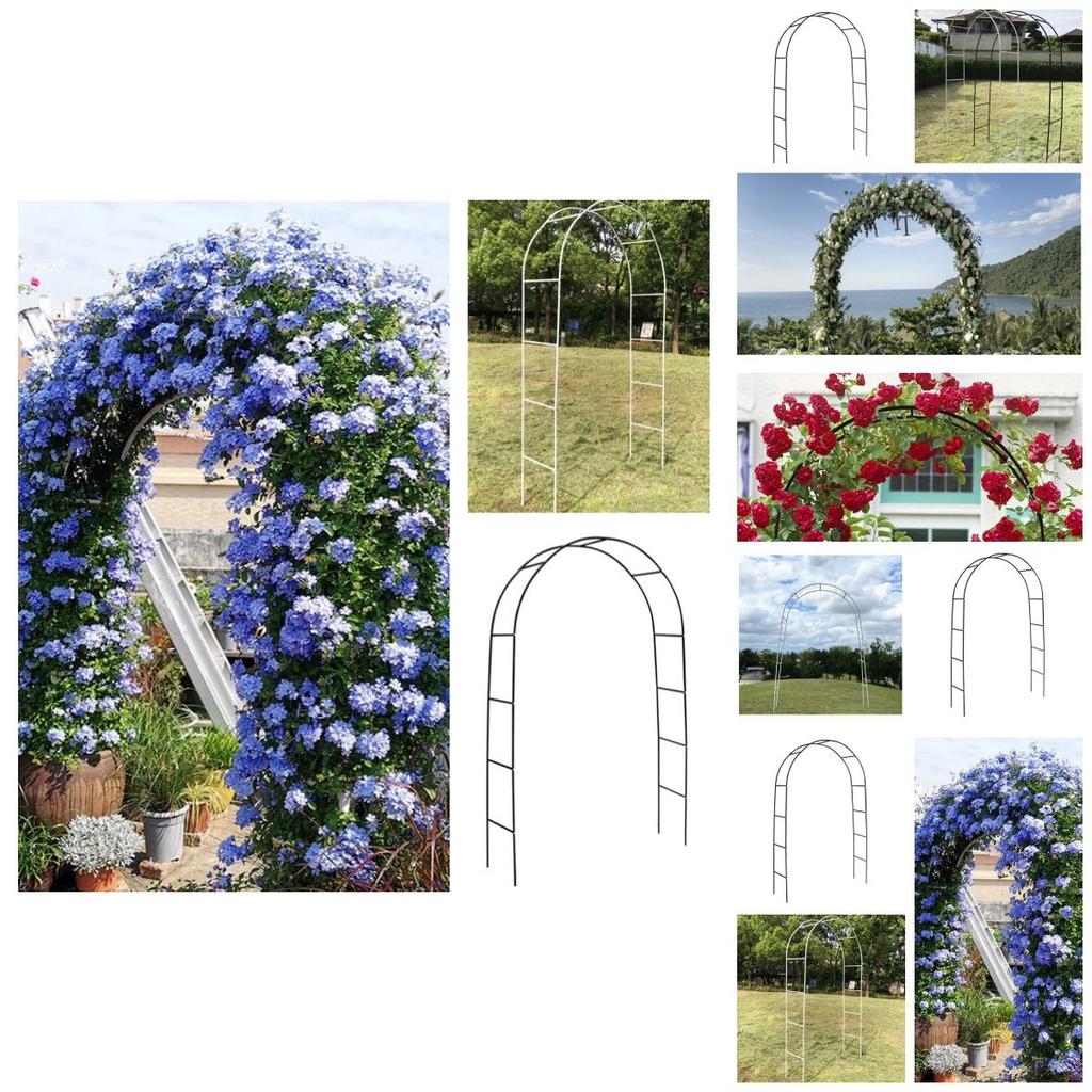 Простая арочная решетка для вьющихся растений Складная металлическая рама Черный/белый