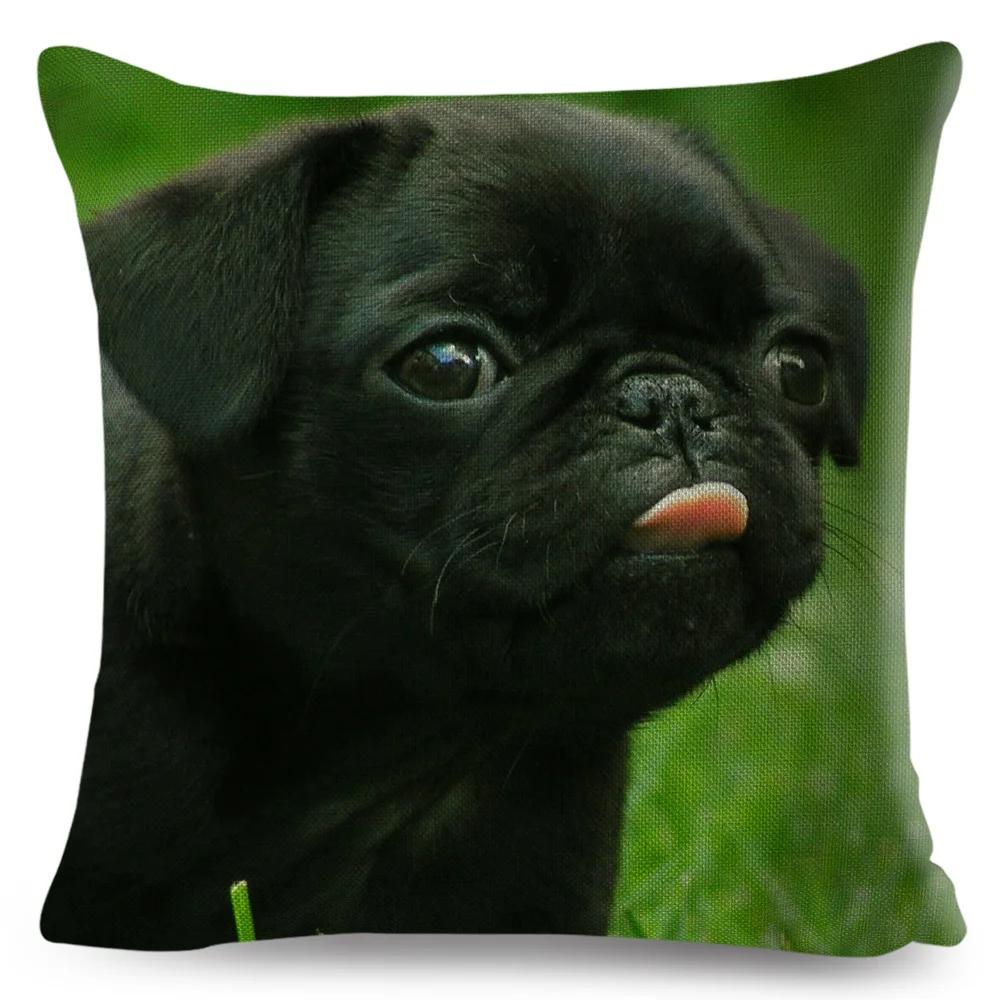 Both Sided Pug Dog Print Cushion Cover Decoration Pet Animal Pillow Case for Sofa Home Car Linen Pillowcase 45x45cm