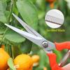 Ножницы для обрезки высокой твердости, острые лезвия из нержавеющей стали, ветки фруктовых деревьев, секаторы, товары для дома