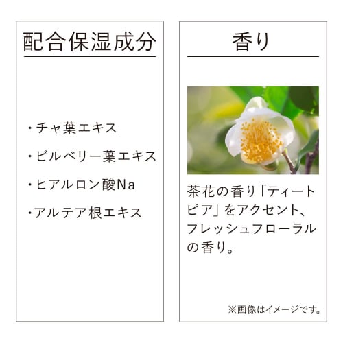 Kanebo Дневная сыворотка Veil 40 г