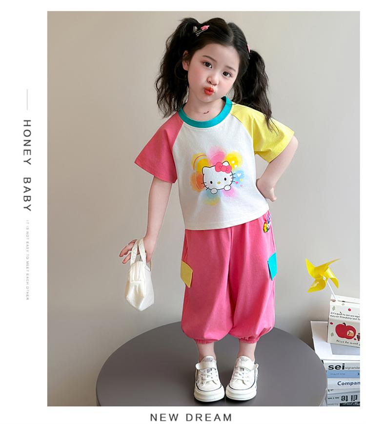 Girls' Summer Set 2026 New Fashionable Children's Short sleeved Girl Baby Summer Dress Cat Leisure Summer