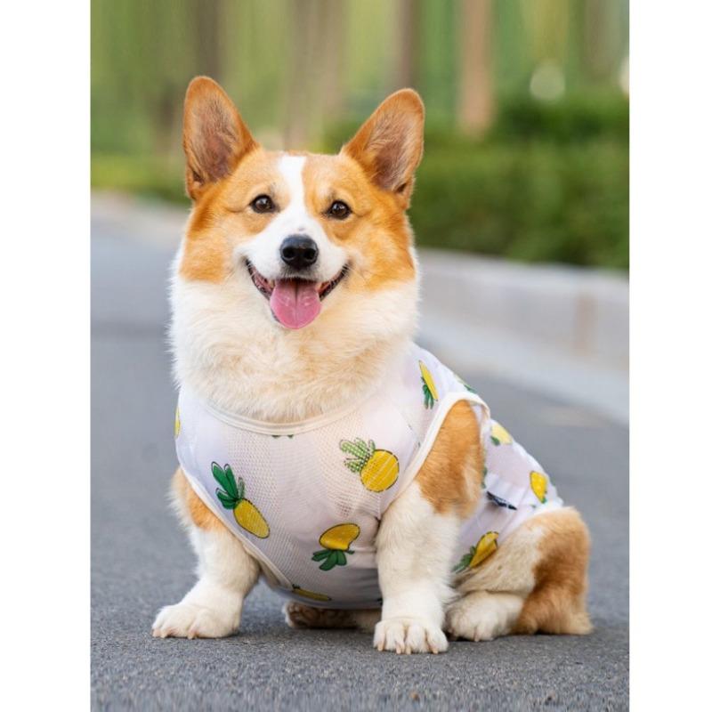 Одежда для собак Весна, лето и осень Тонкий дышащий сетчатый жилет для домашних животных для маленьких, средних и больших собак, бойцовская одежда для корги, сиба-ину