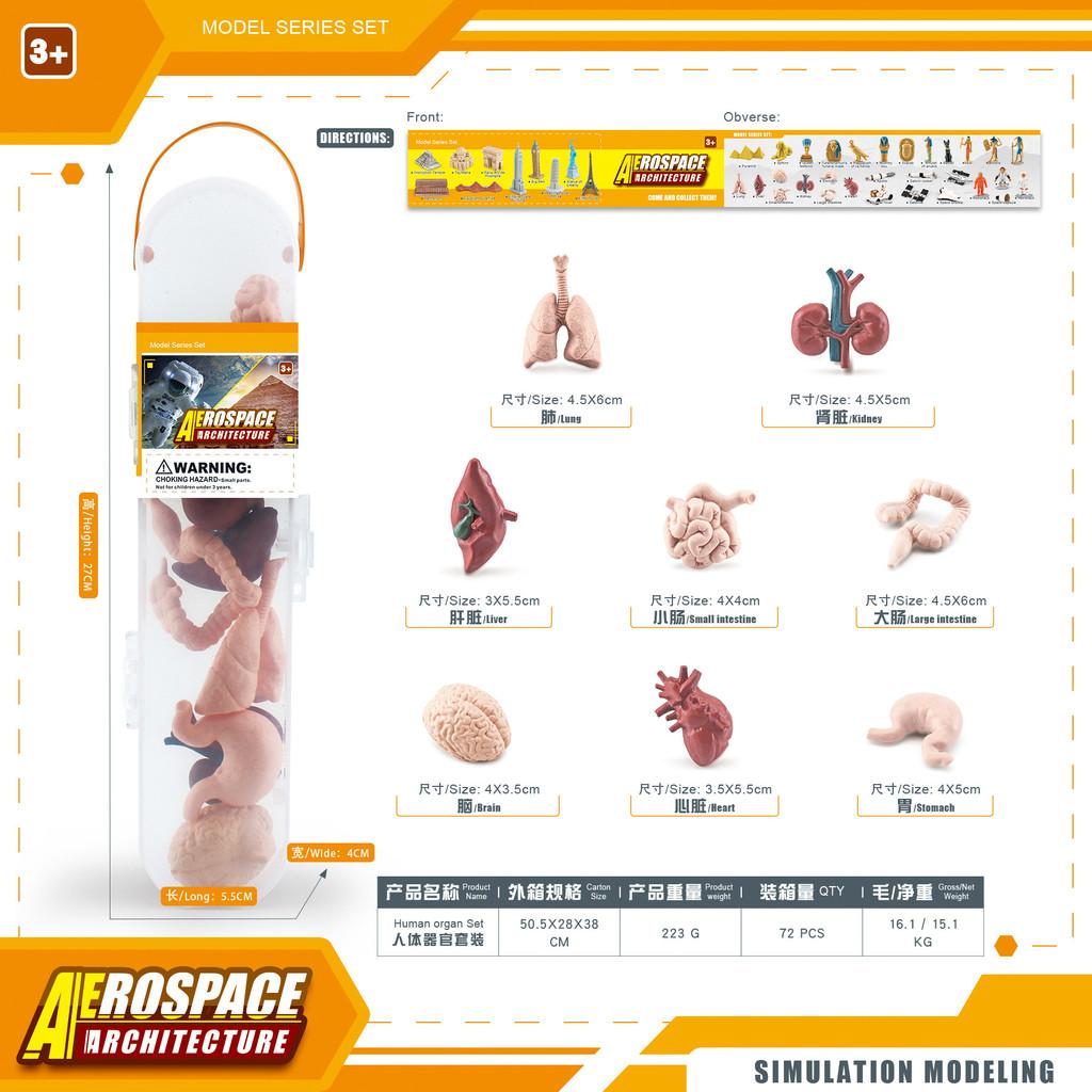 Динозавры Дикая природа Насекомые Растения Модель ПВХ Реплика окаменелости Музейного качества Декор Подарок