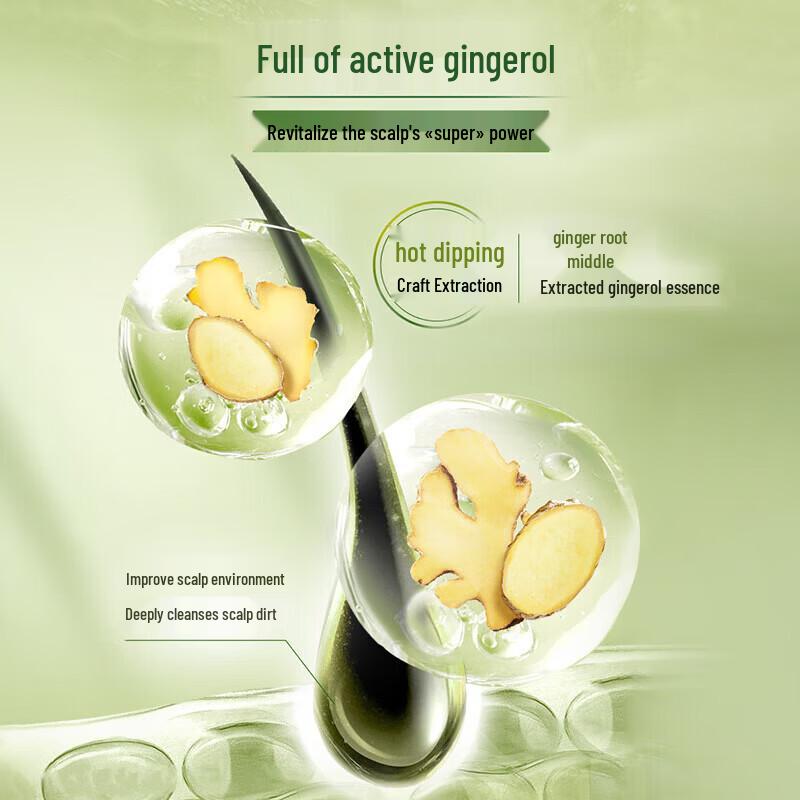 Schwarzkopf Ginger Essence Oil Control Anti-Dandruff Shampoo & Conditioner Set 1200ml