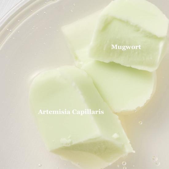 Beauty of Joseon Matte Sun Stick : Mugwort + Camelia SPF 50+ PA++++ 18g