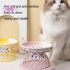 Приподнятая миска для кошачьего корма, большая вместимость, против рвоты, керамическая посуда с кронштейном — Товары для домашних животных