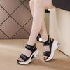 Fashion 8CM New Air Mesh Breathable New Women Sandals Comfy Shoes Fashion Summer Fish Toe Platform Wedge High Hidden Heels Ladies