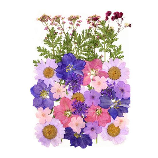 1 Set Dried Pressed Flowers Kit Colorful Natural Flowers DIY Art Crafts Supplies Resin Jewelry Epoxy Mold Candle Soap Vase Making Nail Card
