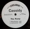 12-дюймовая пластинка CASSIDY - The Pump JRFSKM0521041PR Не на лейбле США Рэп и хип-хоп/R&B Б/У