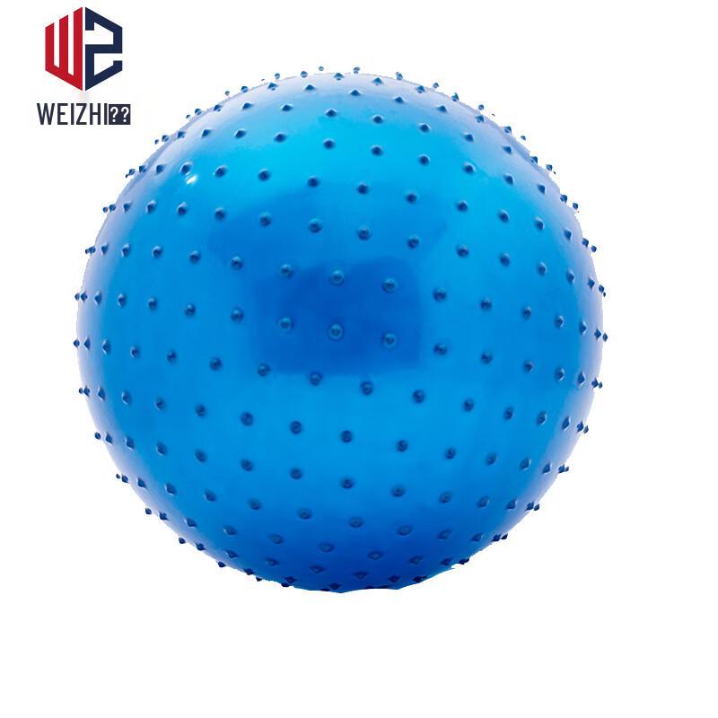 Children's Sensory Training Massage Ball
