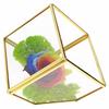 Small Retro Cube Glass Greenhouse for Preserved Flowers and Succulents