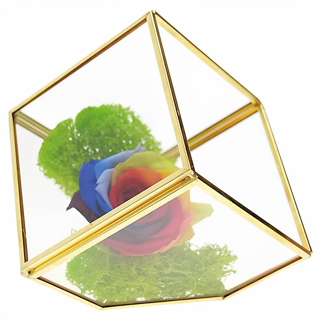 Small Retro Cube Glass Greenhouse for Preserved Flowers and Succulents