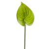 Branch - Green foam anthurium 57 cm