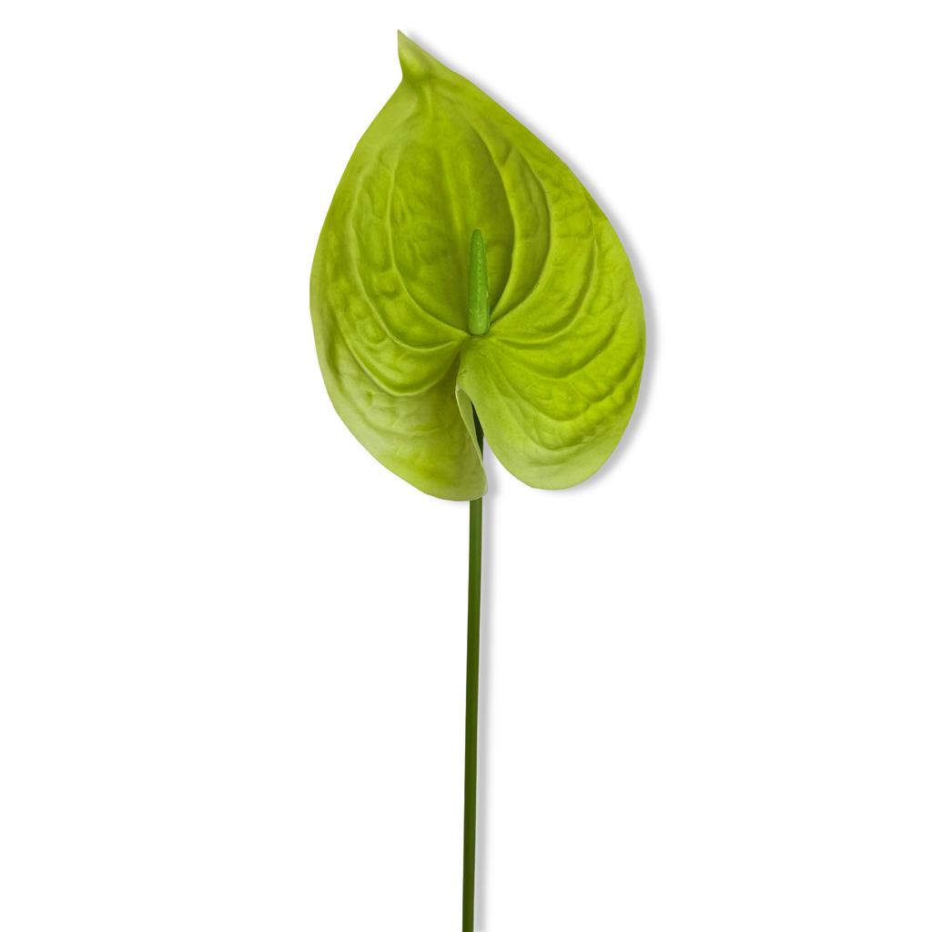 Branch - Green foam anthurium 57 cm
