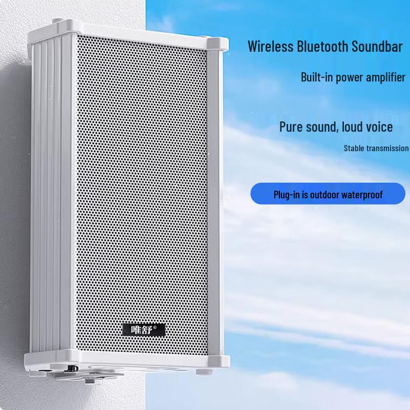 Weishu Wireless FM Broadcast Wall Speaker
