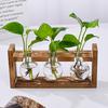 Станция для размножения растений с деревянной подставкой, террариум для комнатных растений, гидропонная ваза для цветов, контейнер, украшение, centerpiece для стола