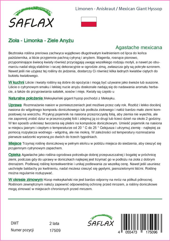 SAFLAX Garden in the Bag - Иссоп мексиканский гигантский - 50 семян - С субстратом в подходящем стоячем пакете - Agastache mexicana