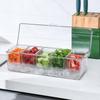 Removable Chilled Condiment Server Tray Organizer Food Container Fruit Serving Tray  Outdoor
