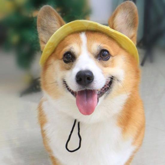 Corgi Sun Hat Pet Cap with Ear Holes Dog Sun Cap with Adjustable Neck Strap for Small And Medium Sized Pets Outdoor Sun Protection
