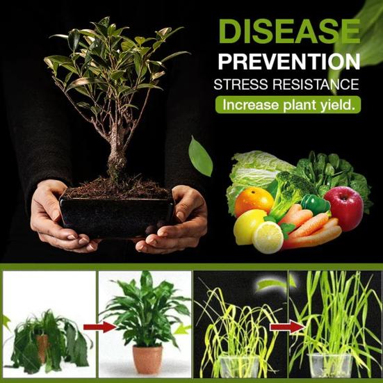 Порошковый активатор почвы Удобрение, богатое питательными веществами, стимулятор роста растений Порошок для активации почвы для почвенной смеси Рассада Компост Растения для помещений и улицы