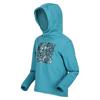 Regatta Childrens/Kids Highton Abstract Extol Stretch Hoodie