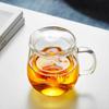 520ml Heat-Resistant Glass Tea Infuser Mug with Lid and Handle