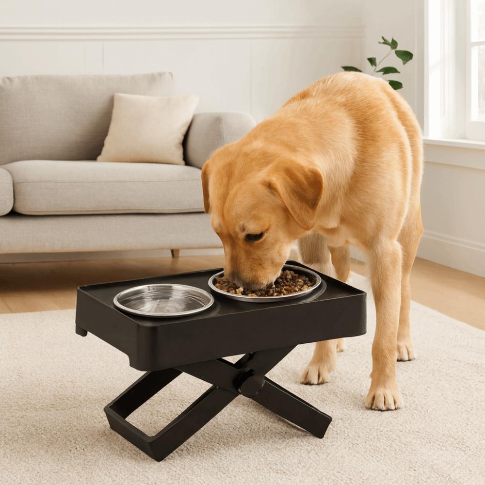 Adjustable Height Neck Protection Dog Bowl Spill-proof Dog Watering Bowl Pet Feeder Bed Room