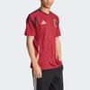 adidas Belgium 24 Home Soccer Jersey Asia Sizing 'Burgundy' Men's IQ0769