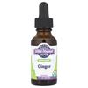 Organic Ginger Extract, 30 Ml (1 Fl Oz) (500 Mg Per Serving)