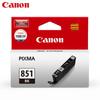Canon Струйные картриджи PGI-850/CLI-851