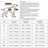 New autumn and winter cat and dog hoodies, cartoon hoodies, sports style dog and cat pet hoodies