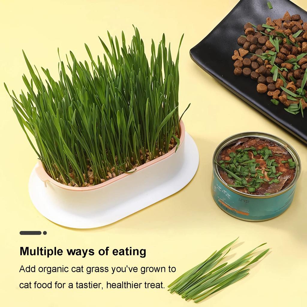 Cat Grass Planter Hydroponic Cat Grass Growing Kit (No Seeds Included) Catnip Wheatgrass Seed Sprout Tray Nursery Plant Planting Box for Indoor Cats