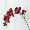 Simulation flower feel Phalaenopsis, living room bedroom home decoration ornament, fake flower bonsai