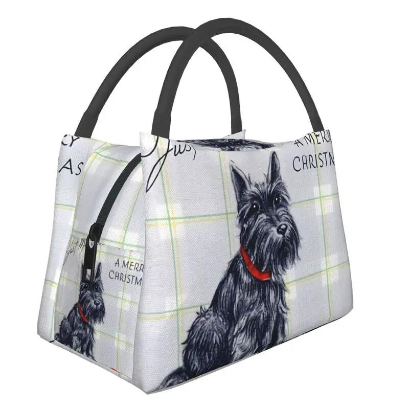 Шотландский терьер наблюдает за бабочкой, изолированные сумки для ланча для женщин, шотландская собака, портативный охладитель, термоконтейнер для еды, ланч-бокс