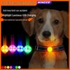 Luminous LED Silicone Dog Pendant: Anti-lost Fluorescent Flashing Charm Tag for Pets