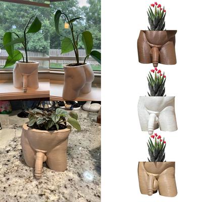 (Бризанд) Форма тела, ваза для растений, забавный уникальный плантатор, домашний садовый декор