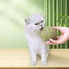 Super Large Catnip Ball 10Cm Cat Grass Self-Hi Relieving Stuffy Insect Gall Fruit Giant Pet Bite Molar  Pet Cat Toy