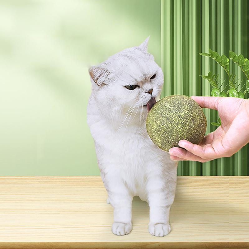 Super Large Catnip Ball 10Cm Cat Grass Self-Hi Relieving Stuffy Insect Gall Fruit Giant Pet Bite Molar  Pet Cat Toy