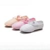 Children's Dance Shoes Girls Soft Bottom Shoes Practice Shoes Adult Dancing Shape Shoes Teachers Ethnic Flesh Color Ballet Shoes