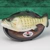 Śpiewająca ryba billy bass prezent dla wędkarza trofeum karp tańcząca rybka