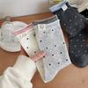 Ladies Spring and Autumn Trend Soft Cotton Versatile Crimped Cloth Standard Pockdot College Wind Tube Pile Socks