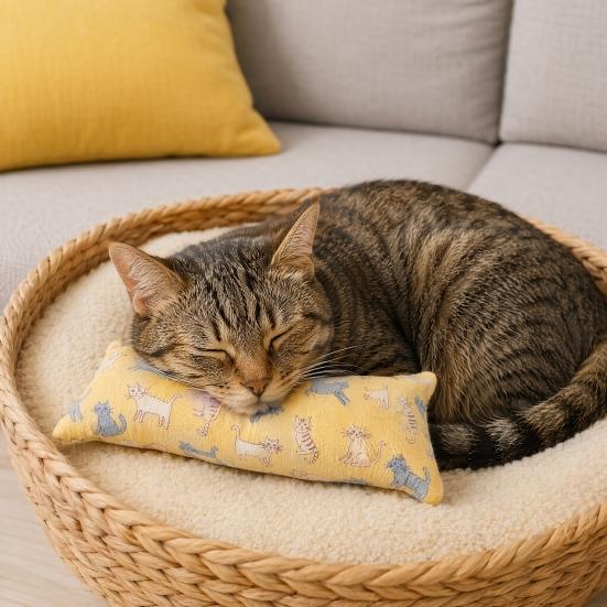 Cat Cuddle Pillow Toy Catnip Toy with Silver Vine Crinkle Kitten Kicker Toy Cute Cat Print Snuggle Pillow for Indoor