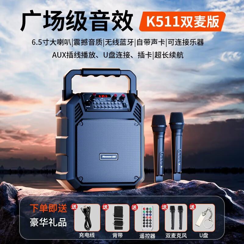 Портативная Bluetooth-караоке-колонка Newmine K511, штекер CN (адаптер в комплекте)