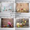 Easter Party Background Photography Backdrop Rabbit Colored Eggs Baby Photographic Photo Studio Props