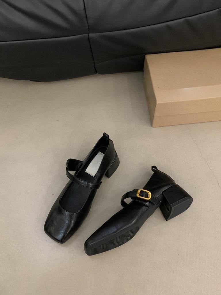 French Retro Square Head Shallow Mouth Single Shoes Women's Shoes 2024 New Spring and Autumn with Skirt Mary Jane Small Leather Shoes