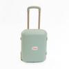 Doloni Children's Case Mint