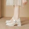 Fairy Style French Mary Jane High Heels Spring and Autumn One-word Buckle with Square Head Patent Leather Temperament Thick Heel Single Shoes Are Not